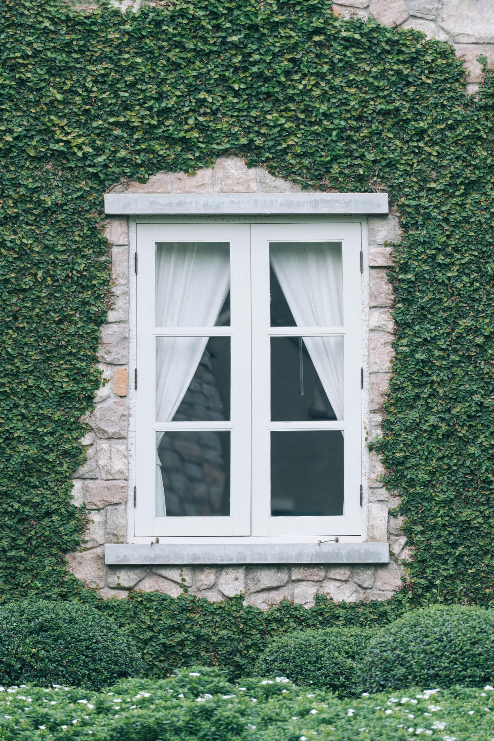 Tecnologie di Efficienza Energetica nelle Finestre: Low-E, Doppi e Tripli Vetri, Gas Isolanti e Smart Glass